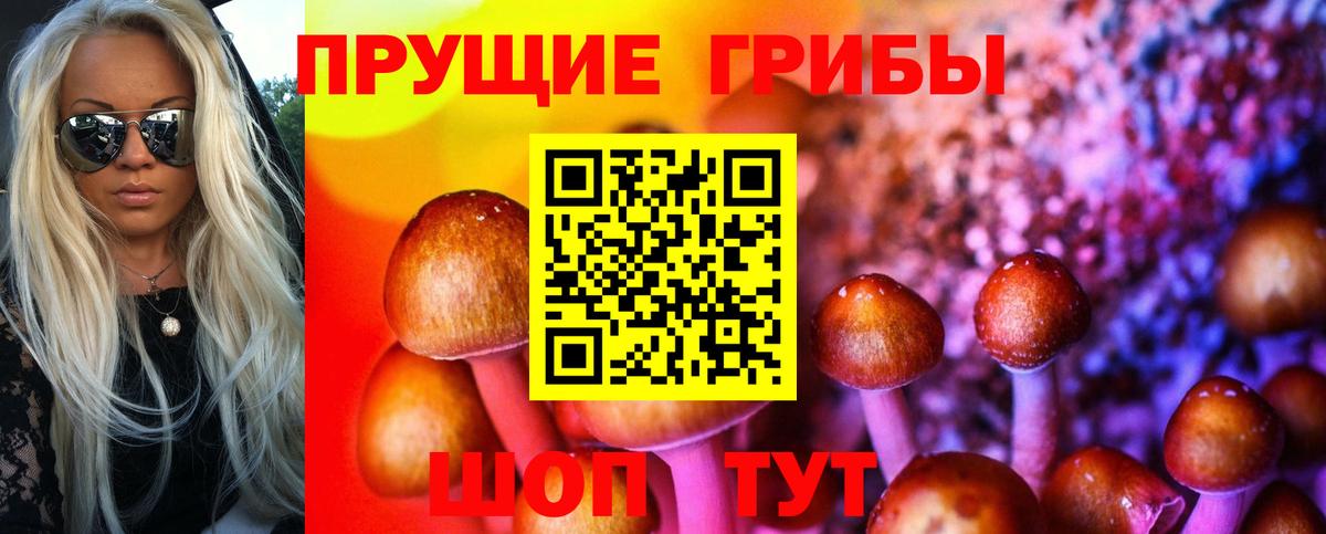 Псилоцибиновые грибы Cubensis Борисоглебск
