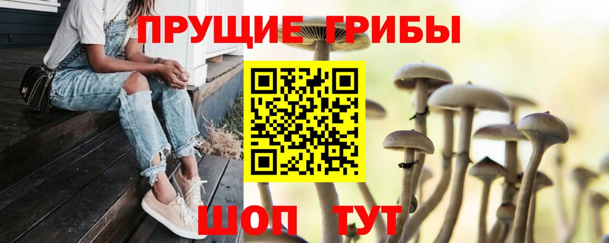 Псилоцибиновые грибы мухоморы  Вход с VPN  Борисоглебск 
